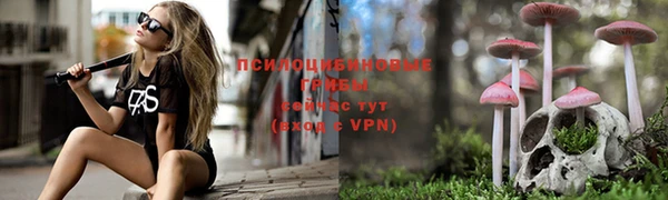 скорость Горно-Алтайск
