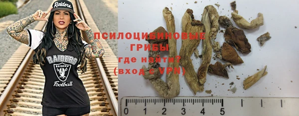 скорость Горняк